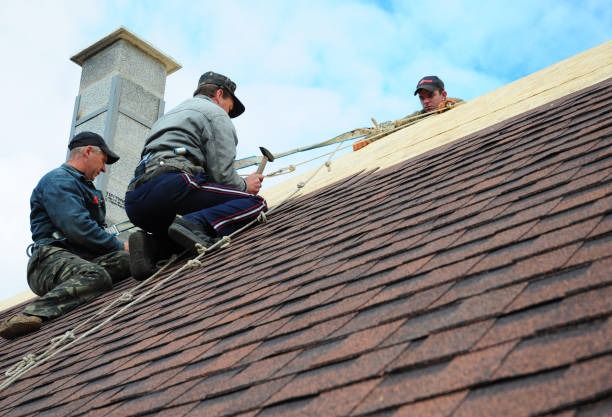 Best Flat Roof Repair Services  in Williamsburg, PA